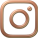 alt insta